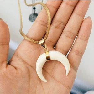 Boho Chic Double Horn Crescent Necklace